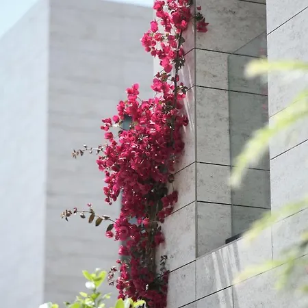 Rammos Managed By Dedeman ボドルム