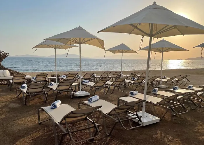 Rammos Managed By Dedeman