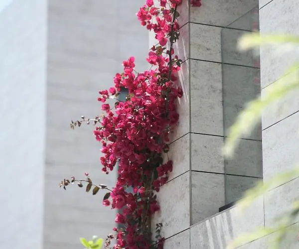 Rammos Managed By Dedeman 博德鲁姆